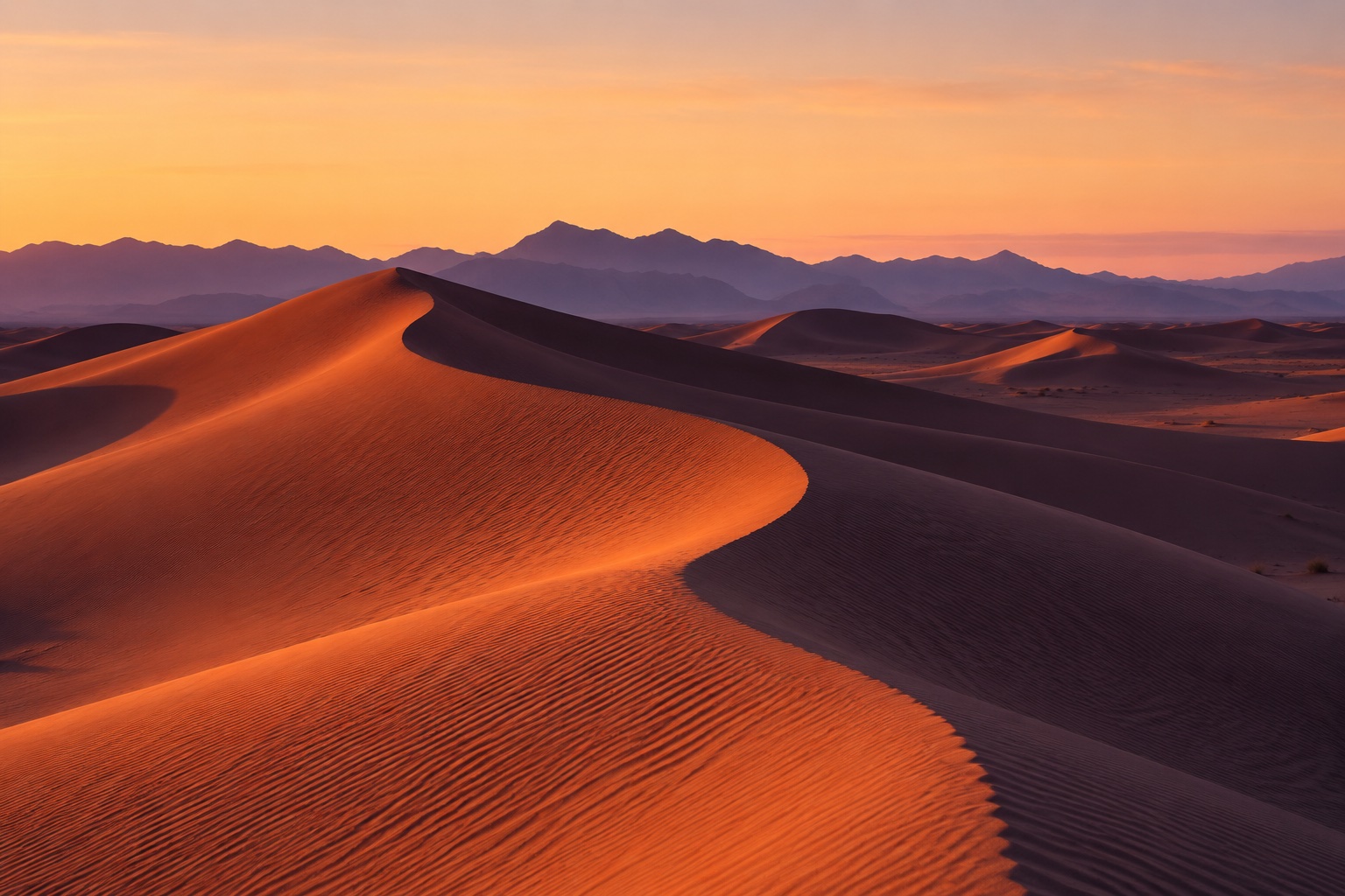 Sculpted desert dunes in warm and violet light